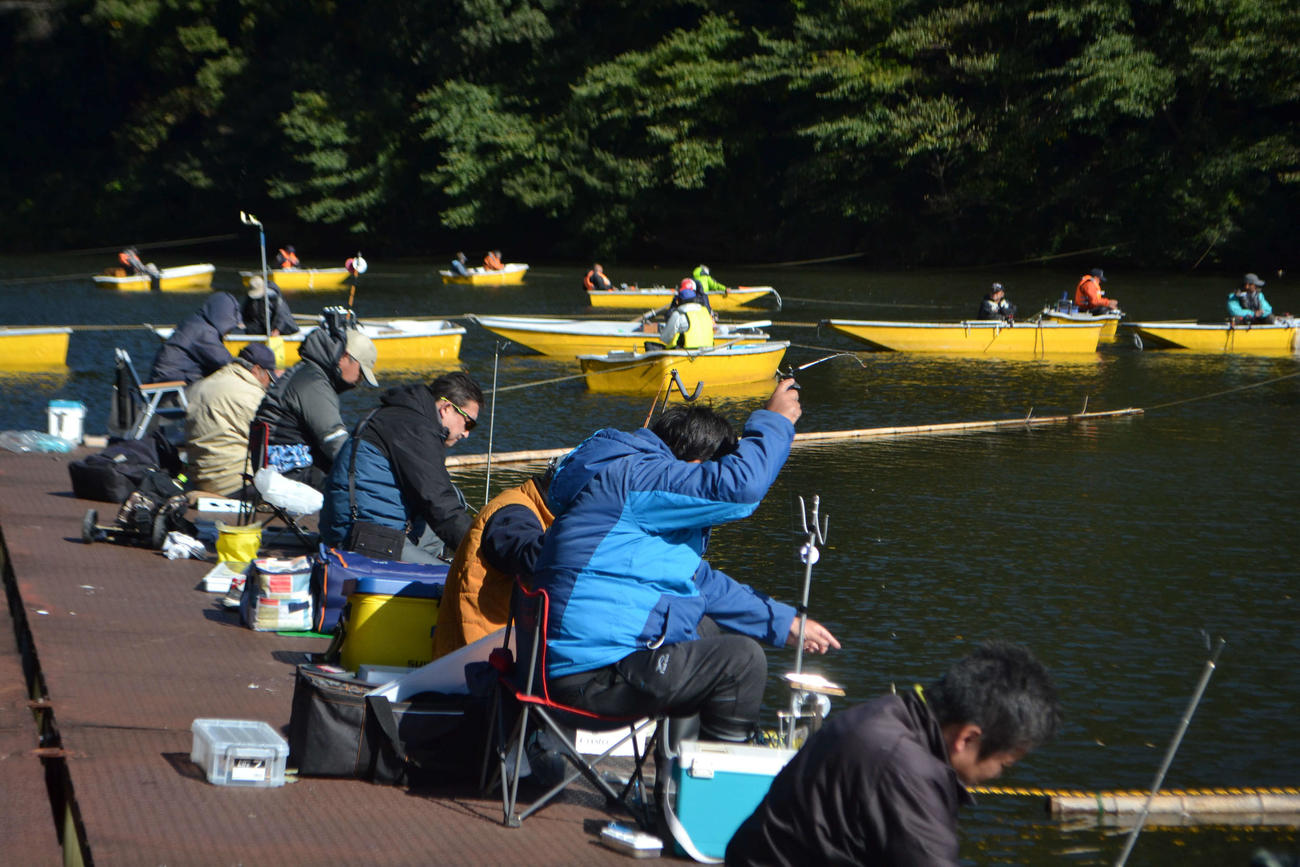 円良田湖のワカサギ釣りは11月1日からボートと桟橋で楽しめる
