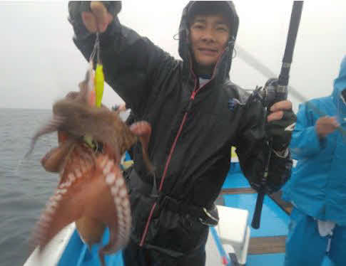好乗りが続く大洗沖のマダコ