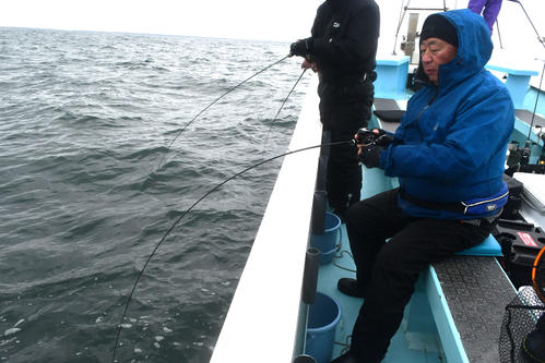 マダイとのやりとりを楽しむ桜井一紀さん