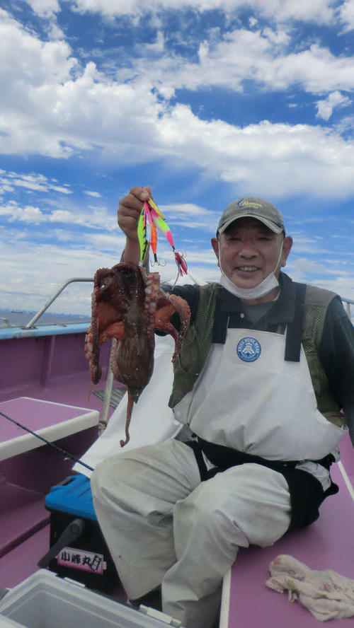 好釣が続く千葉寒川「小峯丸」のマダコ