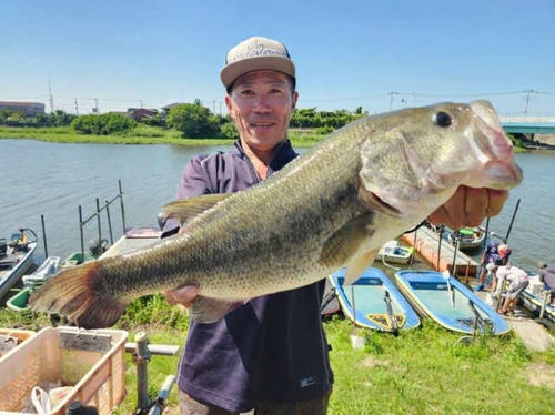 新利根川のスノヤワラでは53センチ(2・12キロ)のブラックバスが釣れた