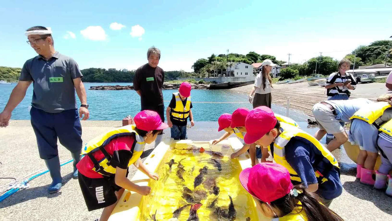 フィールドワークでは魚との触れ合いも