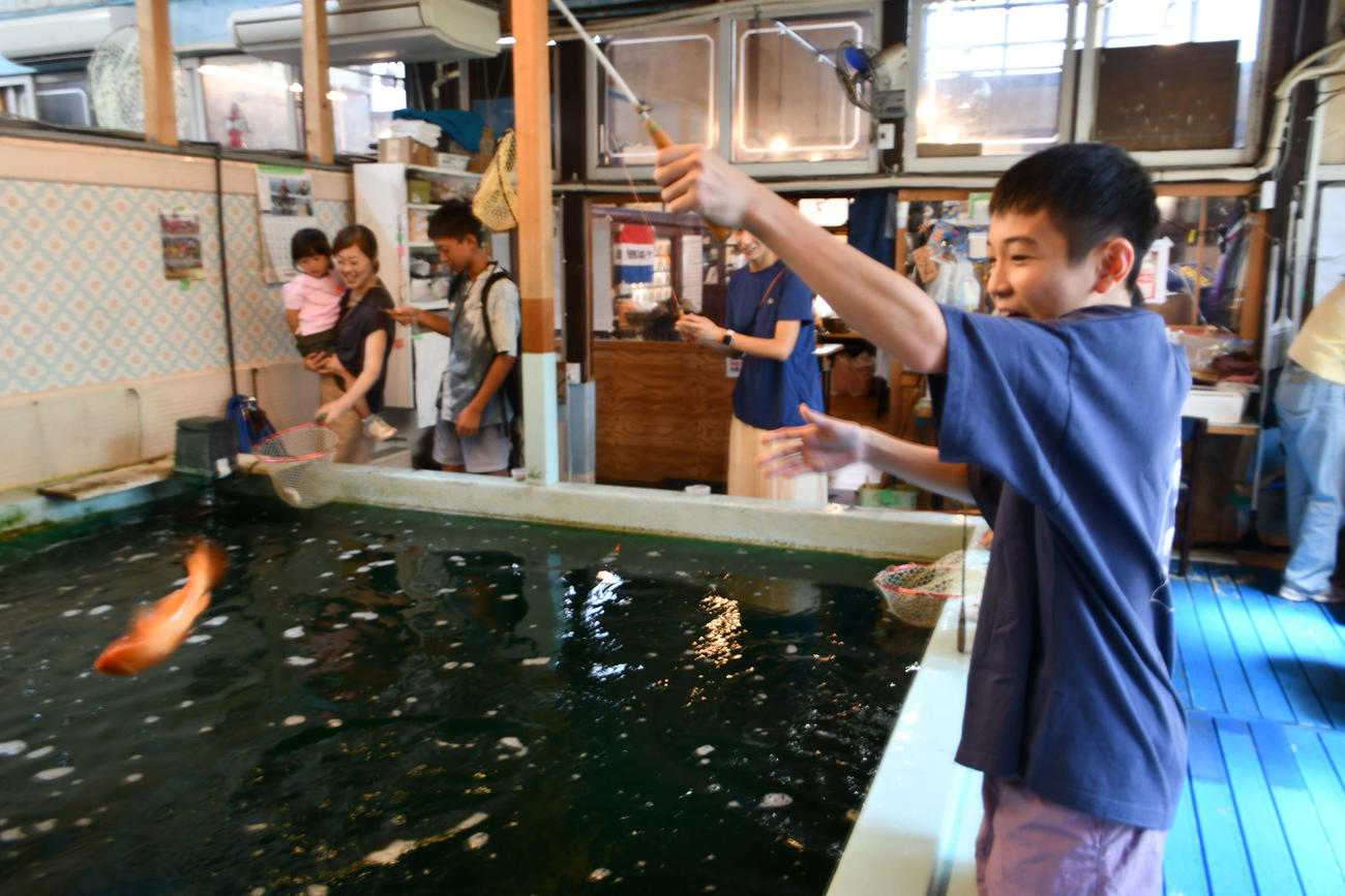 針掛かりした魚を思わず抜き上げてしまう光景も