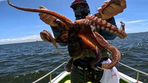 1・18キロのタコを釣り上げて「ニッカン釣りちゃん賞」（大物賞）に輝いた下里淳さん