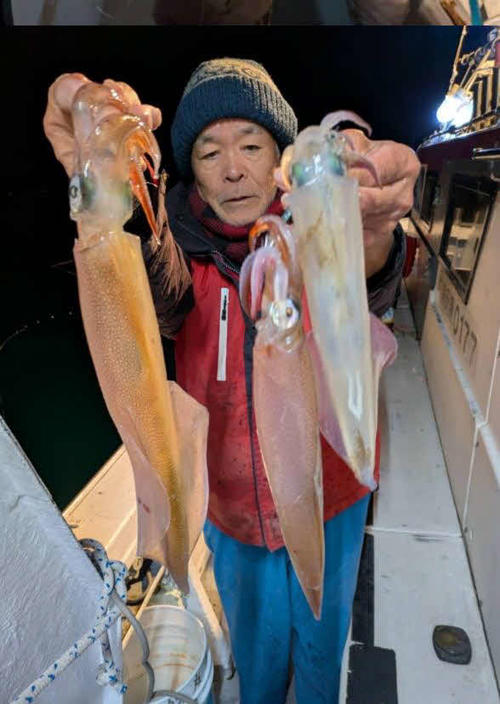 魚磯丸ではヤリイカが復活