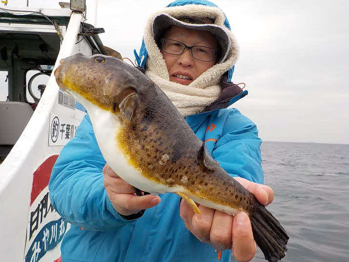 富津「みや川丸」では30センチを超えるアカメ、食べておいしいフグがこの時季に狙える