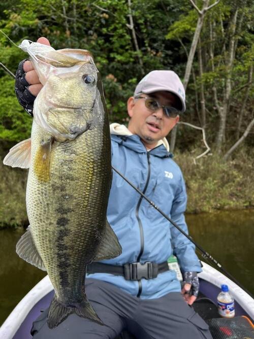 春の亀山湖は日当たりのいいワンドで周りに障害物が多くあればあるほど大型バスの狙いが立つ