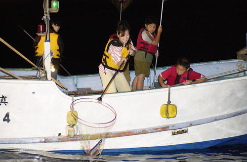 土肥沖で楽しめるとび魚すくい