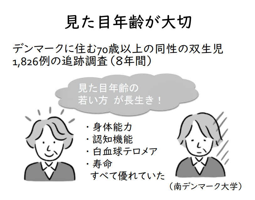 南デンマーク大学の調査結果