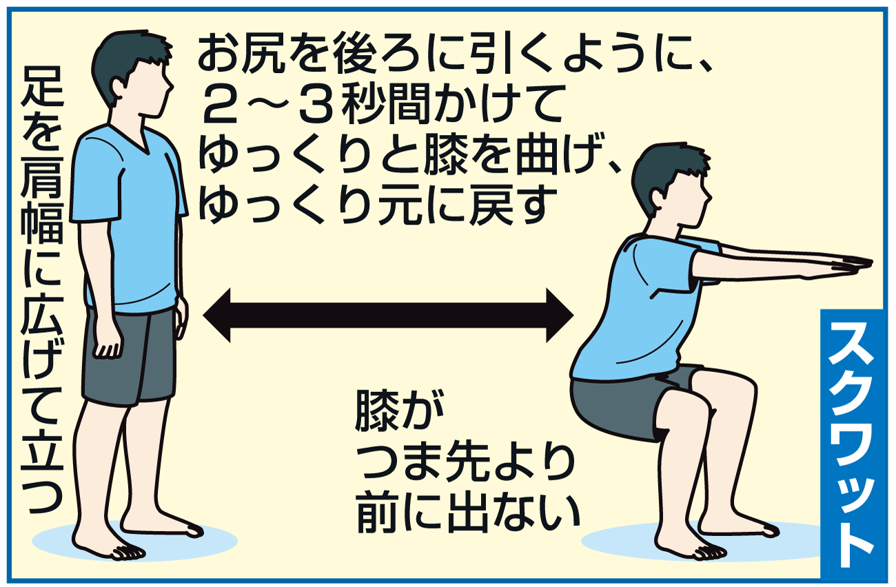 【イラスト】スクワット
