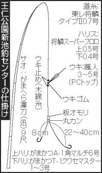 大阪 枚方 セット釣りでヘラブナ35匹 Nikkansports Com