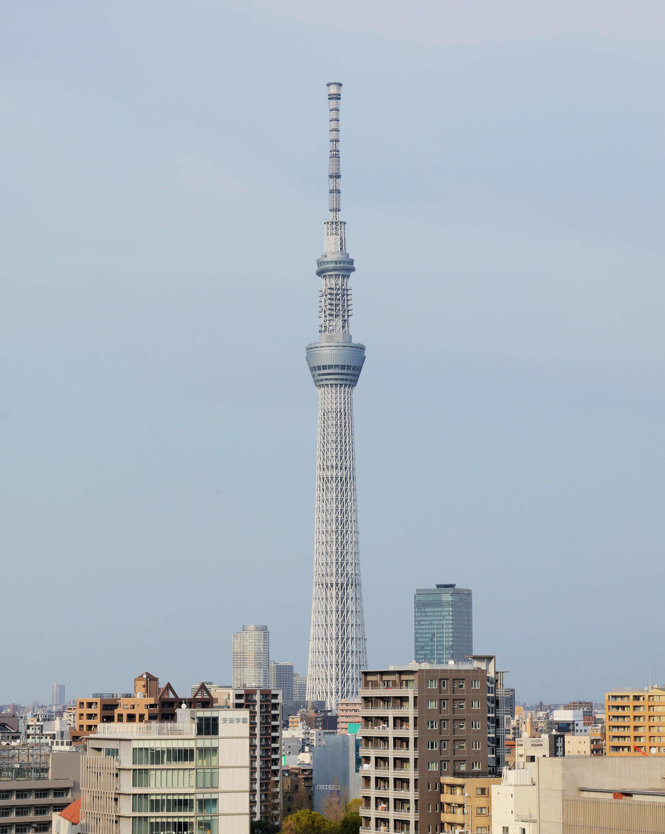 東京スカイツリー