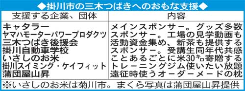 掛川市の三木つばきへの主な支援