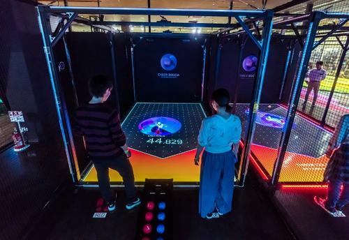 バンダイナムコアミューズメント「ＶＳ　ＰＡＲＫ」に置かれているサイバーボッチャ