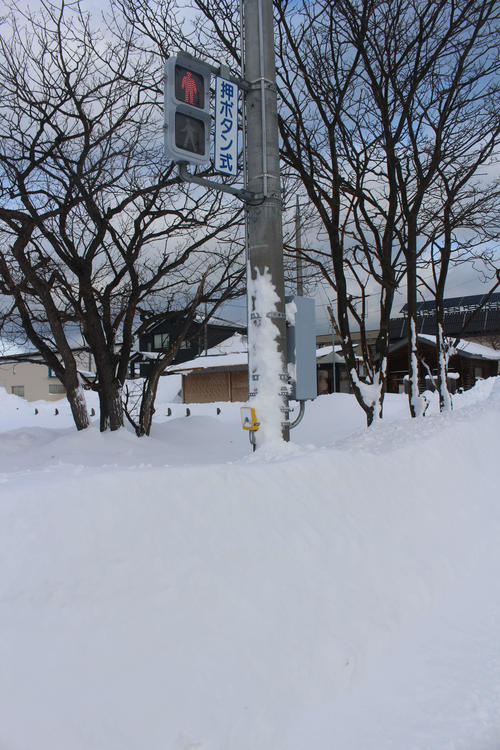 常呂町の信号機がは雪に埋まっていた
