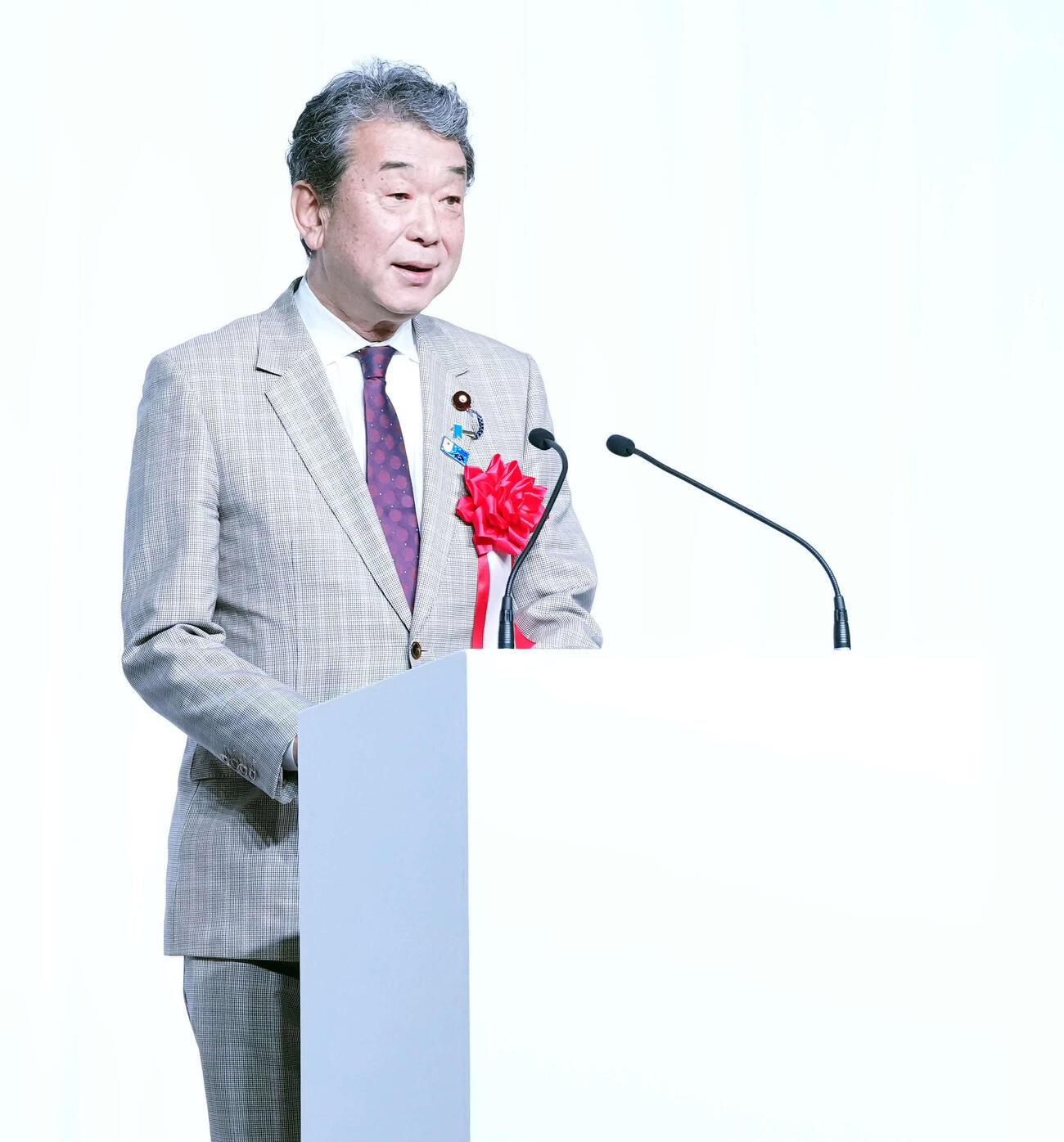 解団式の冒頭であいさつをする文科省中村裕之副大臣（撮影・たえ見朱実）