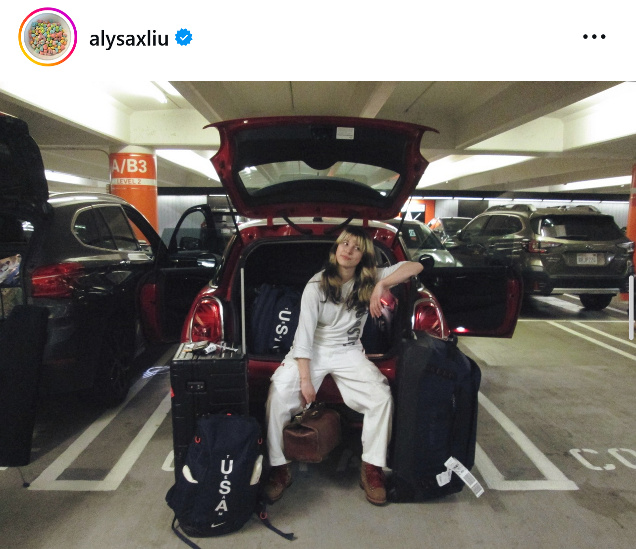 アリサ・リュウのインスタグラムから