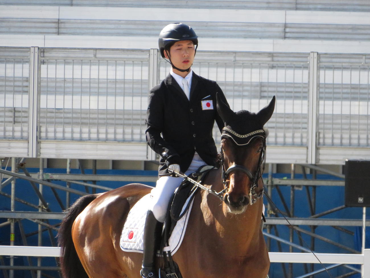 馬術東京パラ代表は今年の強化指定選手軸に選考 パラスポーツ 日刊スポーツ