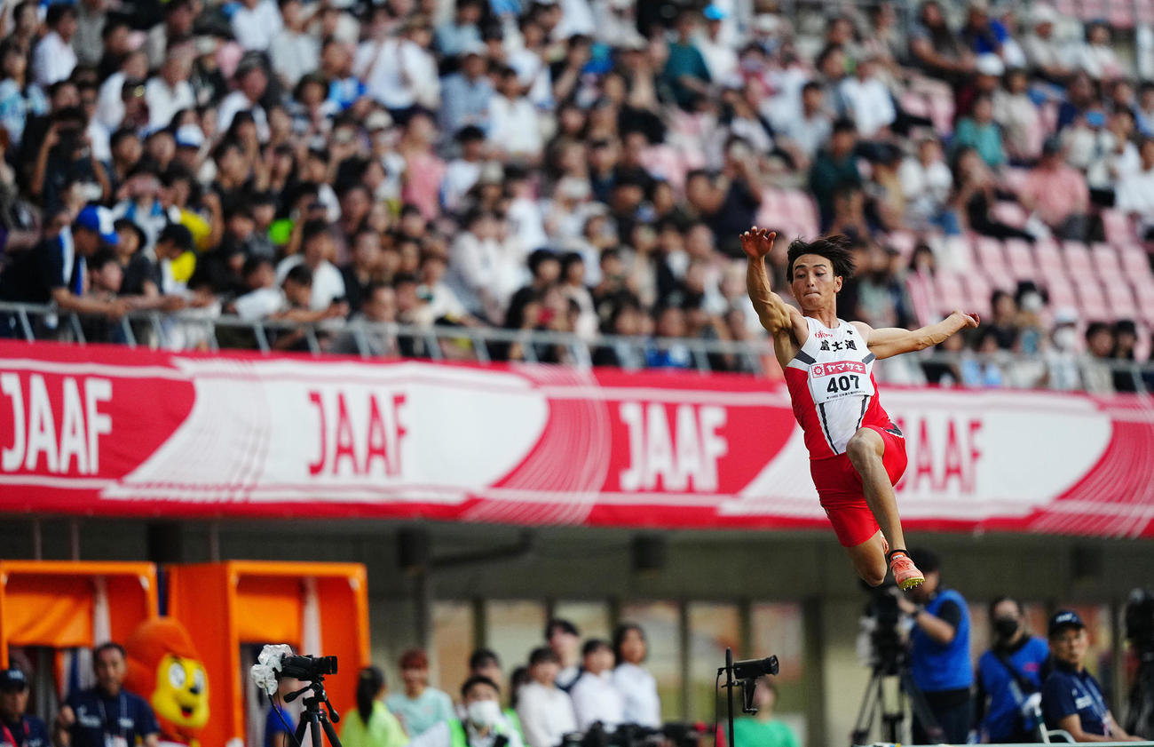 走幅跳決勝、橋岡の跳躍（撮影・垰建太）