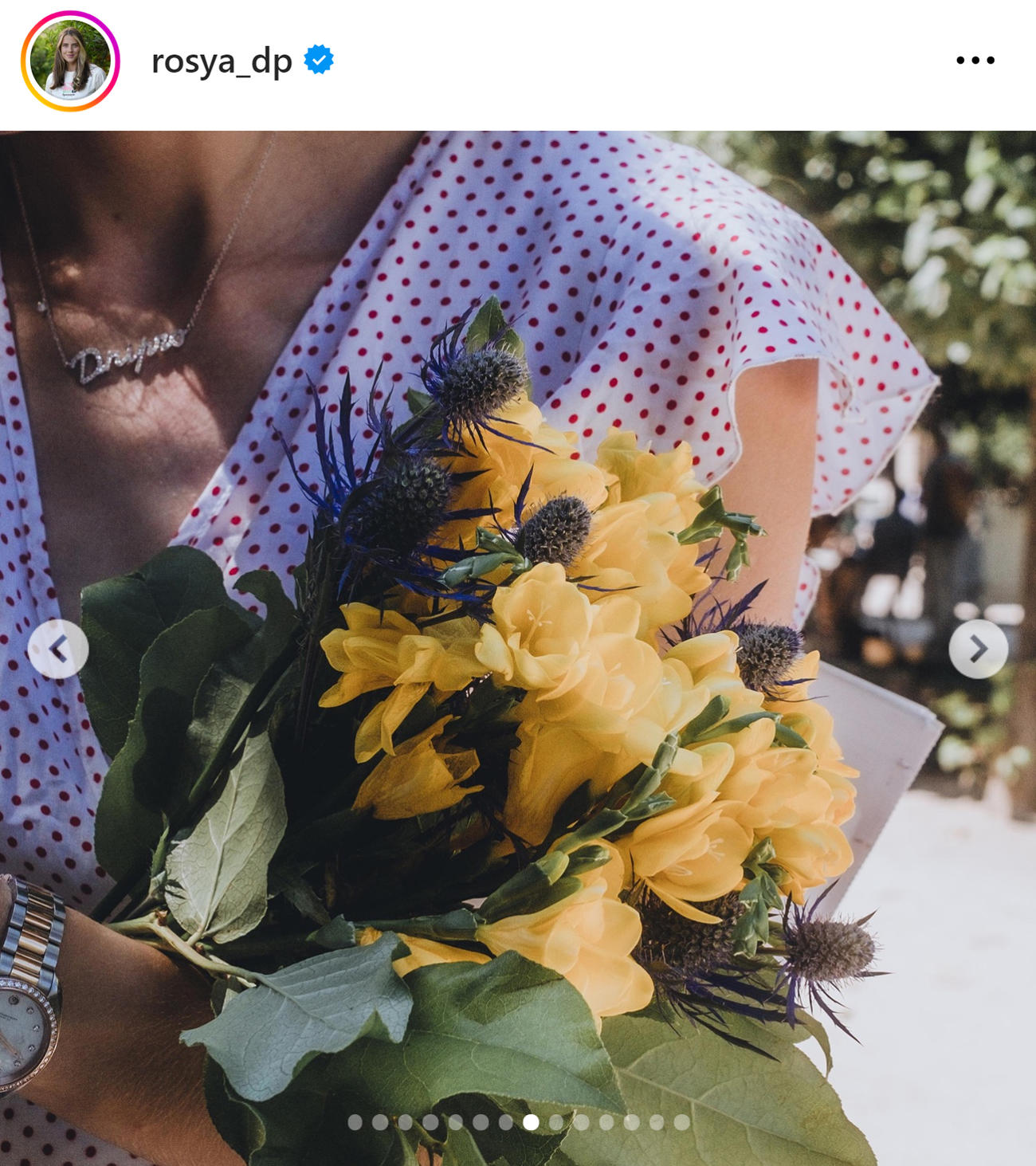マフチフのインスタグラムから