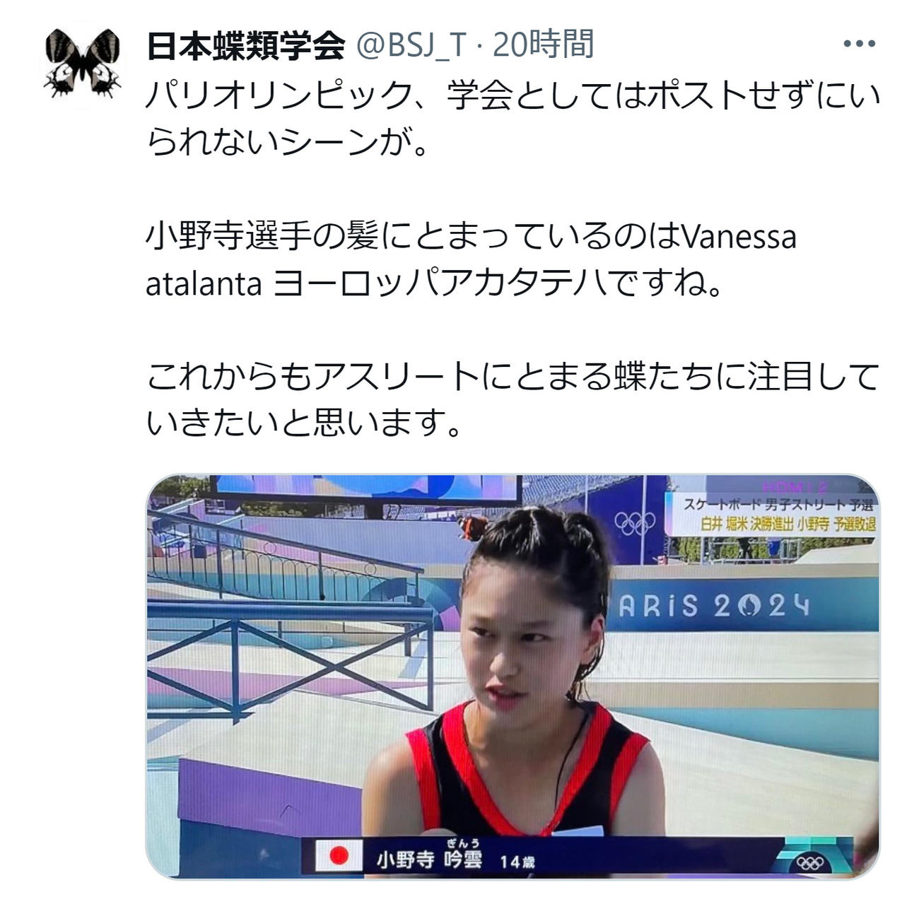 日本蝶類学会のXから