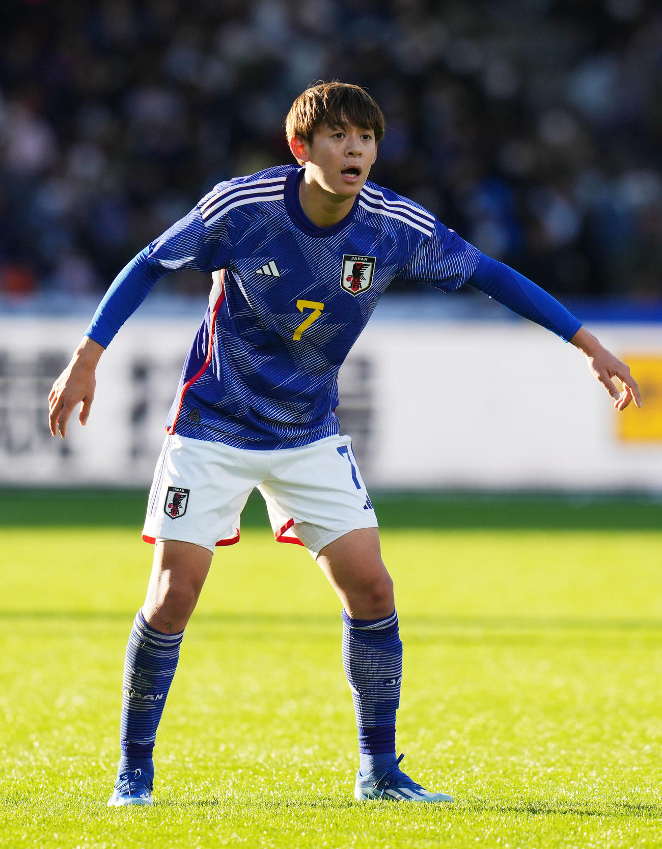 山本理仁（2022年11月撮影）