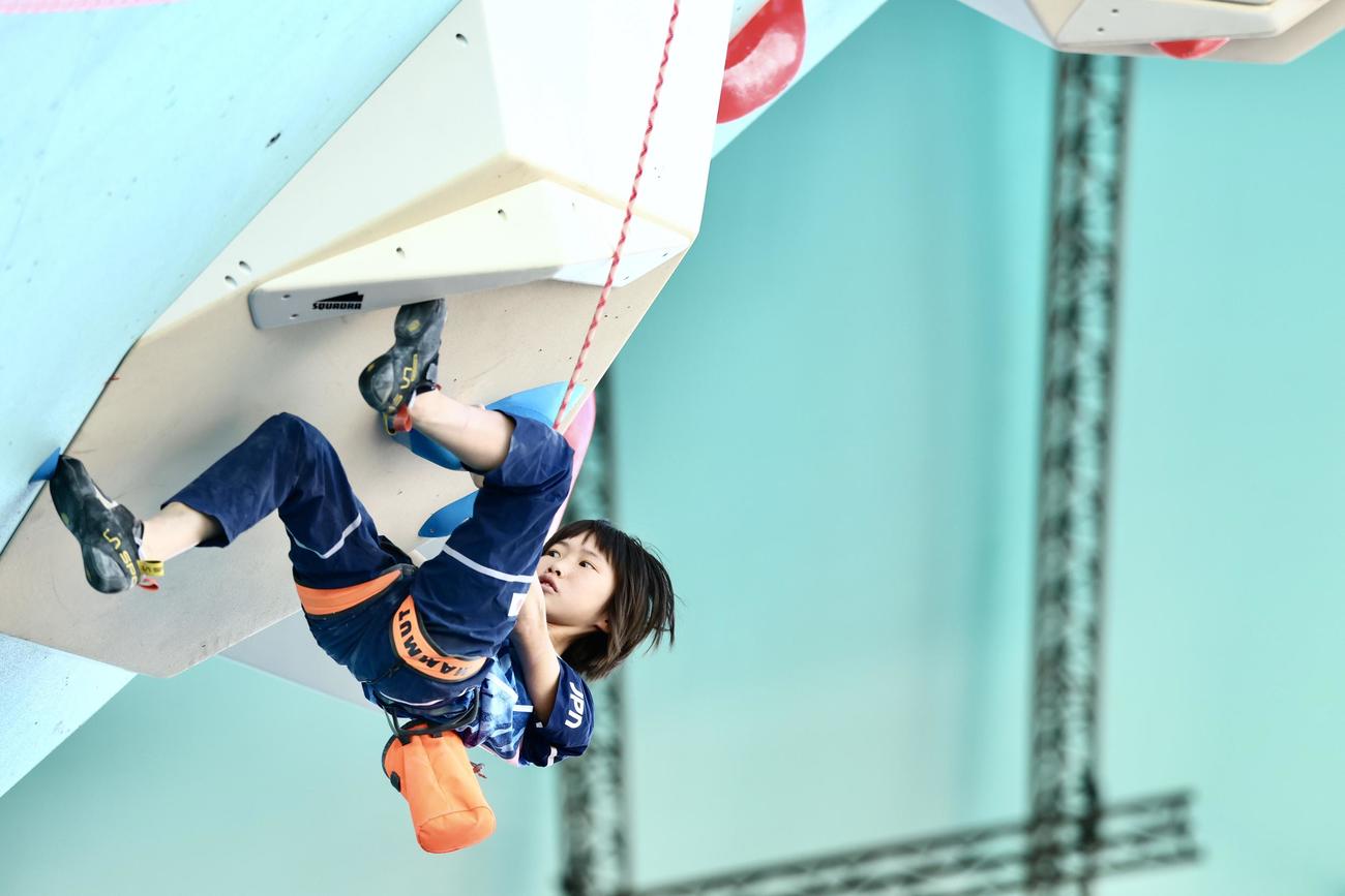 女子リード、ボルダー決勝戦　リードに臨む森（撮影・河田真司）