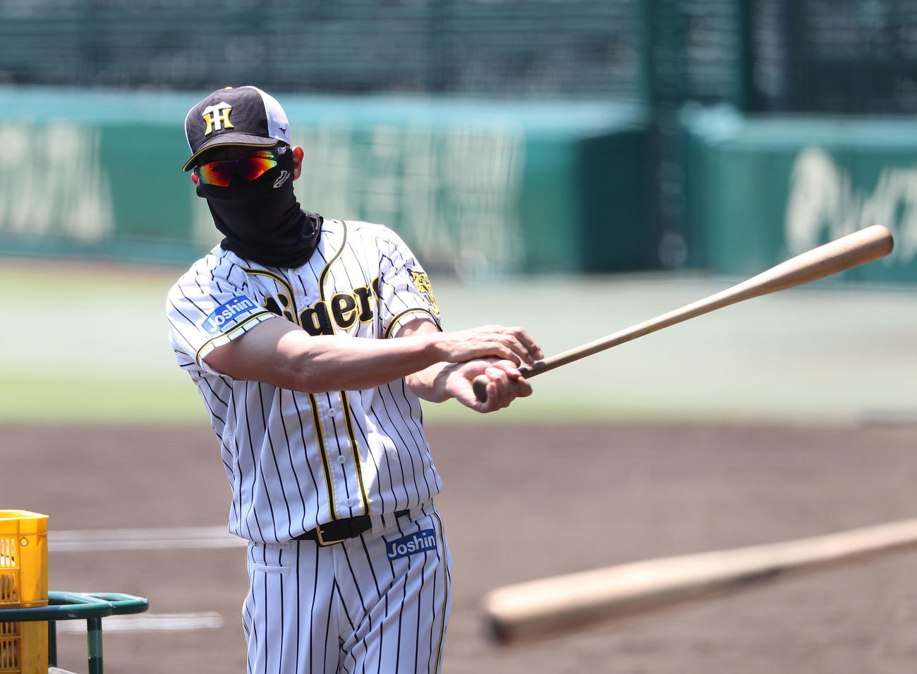 ノックバットで素振りする矢野監督（撮影・白石智彦）