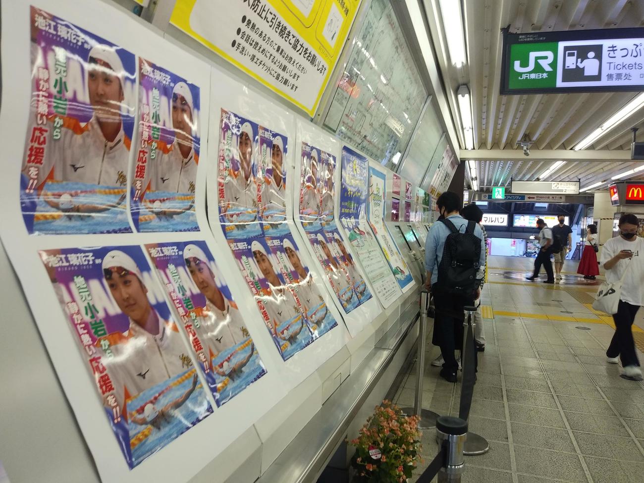 JR小岩駅に貼られた池江のポスター