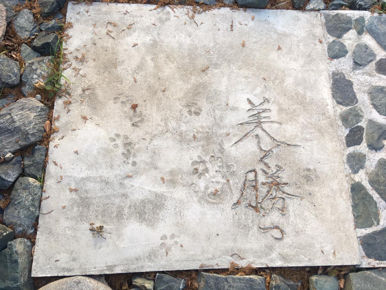 丸山顕志氏が整備した「OLYMPIC　GARDEN」の石畳に記された「美しく勝つ」