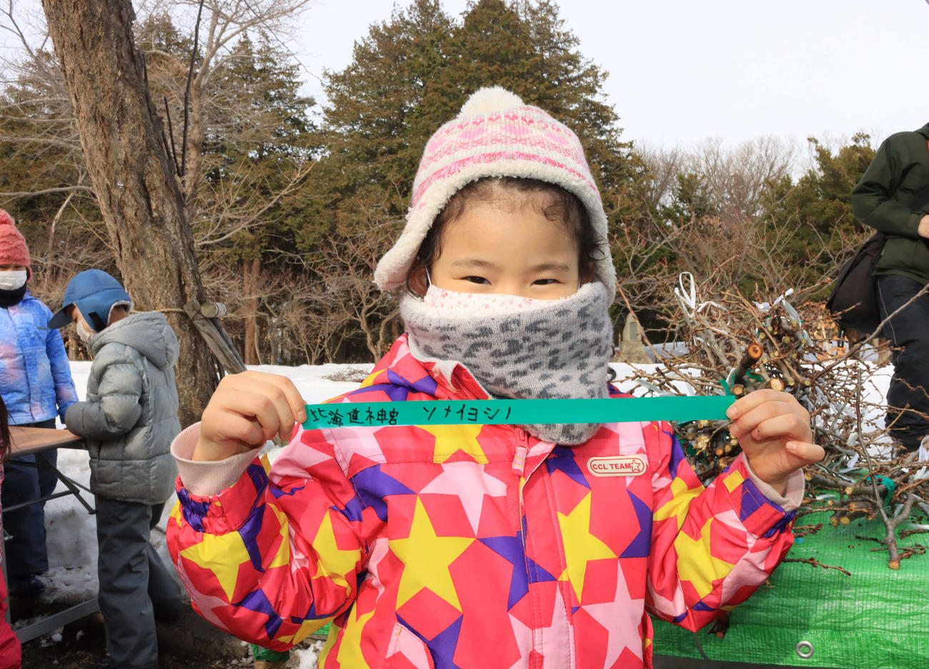 「北海道雪氷桜プロジェクト2021」で桜の枝の収集作業に参加する子どもは、枝を束ねるテープに木のある場所と品種を記した（撮影・保坂果那）