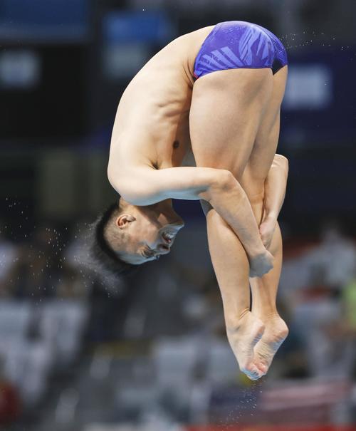 男子板飛び込み準決勝　寺内健の最終演技（共同）