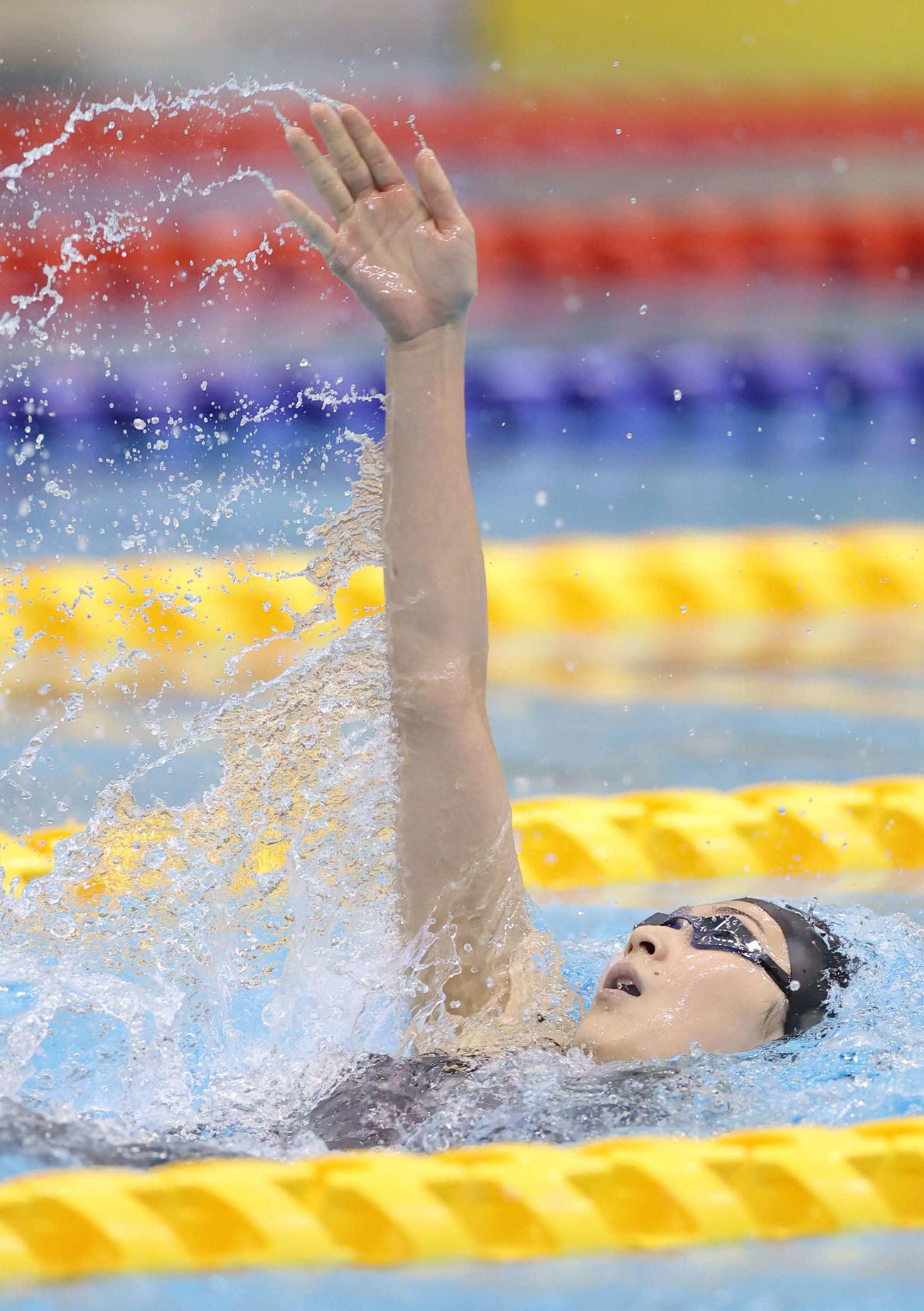 女子100メートル背泳ぎ決勝、力泳する池江（代表撮影）