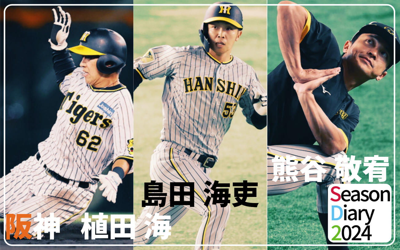 阪神タイガース 応援バルーンバット 島田 湯浅 美味しく 植田選手 売買 