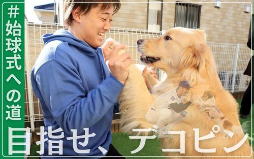 始球式への道】大谷翔平とデコピンの再現狙うロッテ鈴木昭汰と愛犬の
