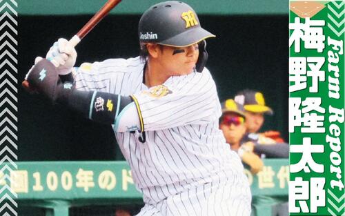 梅野隆太郎選手のニッカポッカ - 阪神タイガース 阪神梅野隆太郎若手