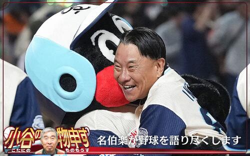 【小谷の物申す】ヤクルト好スタート最大の理由　キハダ簡単には崩されない／連載７