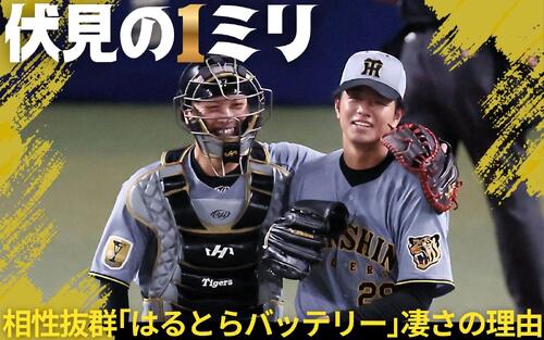【阪神伏見寅威】｢はるとらバッテリー｣はなぜすごい? ベテラン捕手が大切にする原点