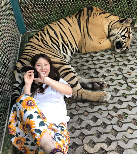 タイのタイガータウンで虎と遊ぶ（本人提供）