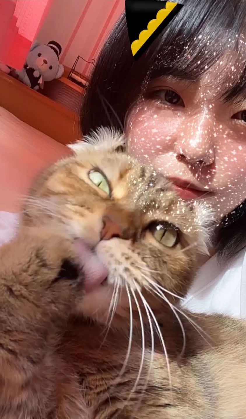 愛猫のぽんちゃんと（本人提供）