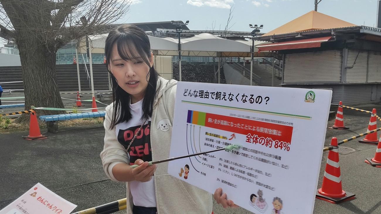 フリップを使って犬猫保護の説明をする高木真備さん