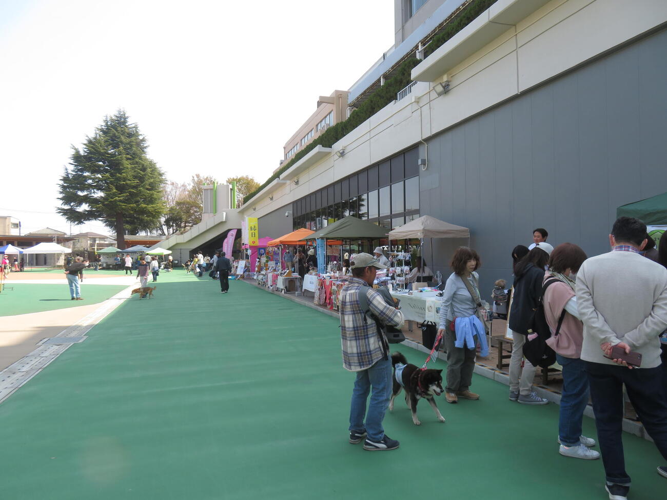 「わんにゃんフェスティバルinたちかわ競輪場」の風景