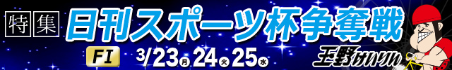 ＦⅠ日刊スポーツ杯争奪戦
