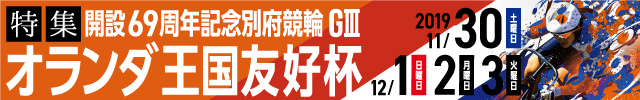 オランダ王国友好杯