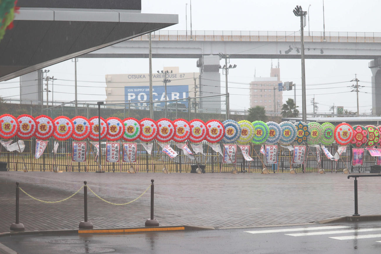 樫葉新心のデビュー戦を祝って飾られた花輪（撮影・神田成史）
