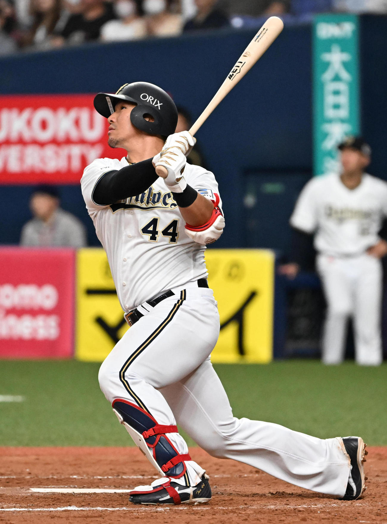 オリックス頓宮裕真（2023年6月28日撮影）