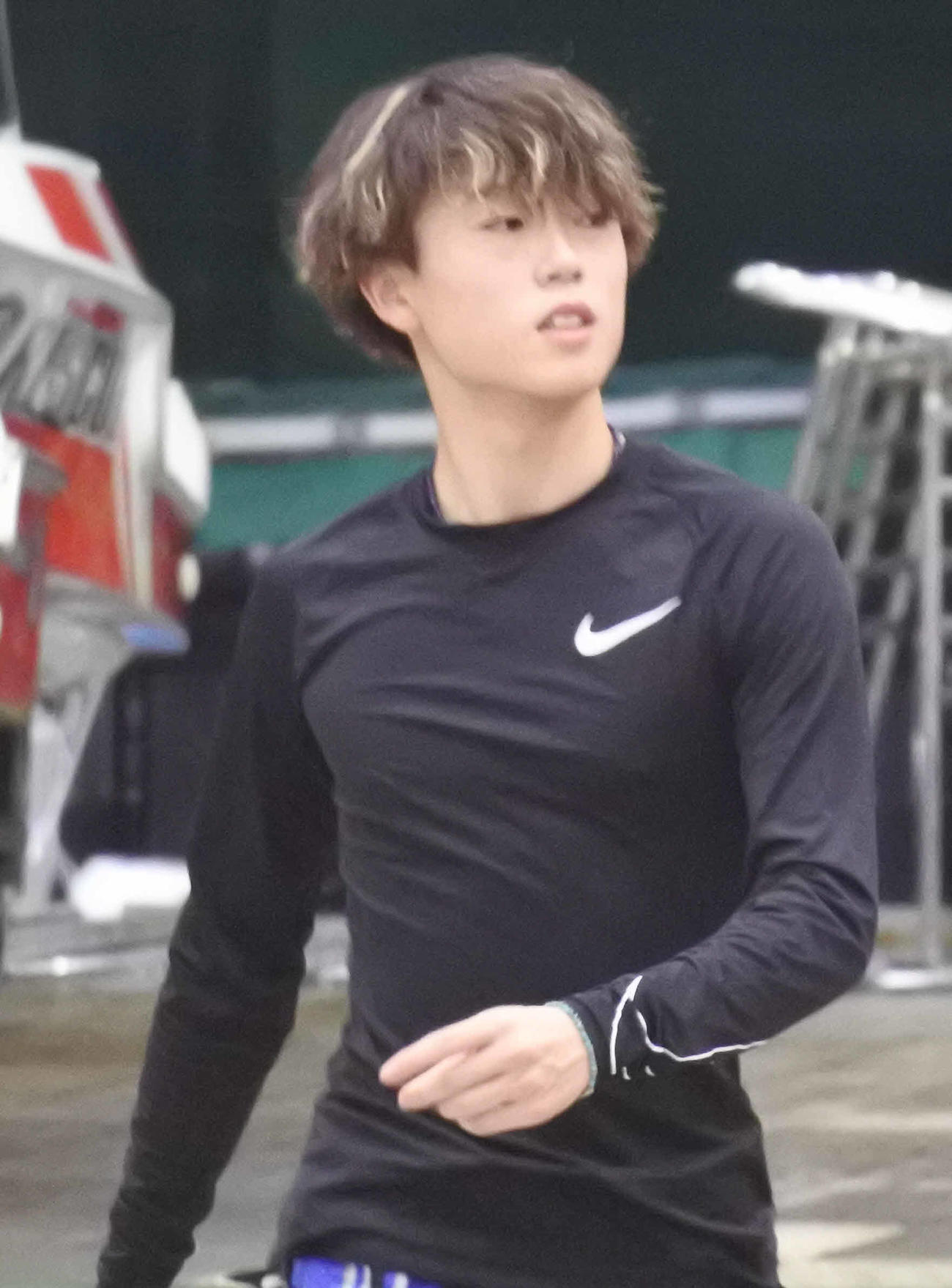 青木蓮