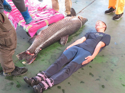 ボートレース】レース中の水面で巨大魚捕獲！西山貴浩と同サイズに