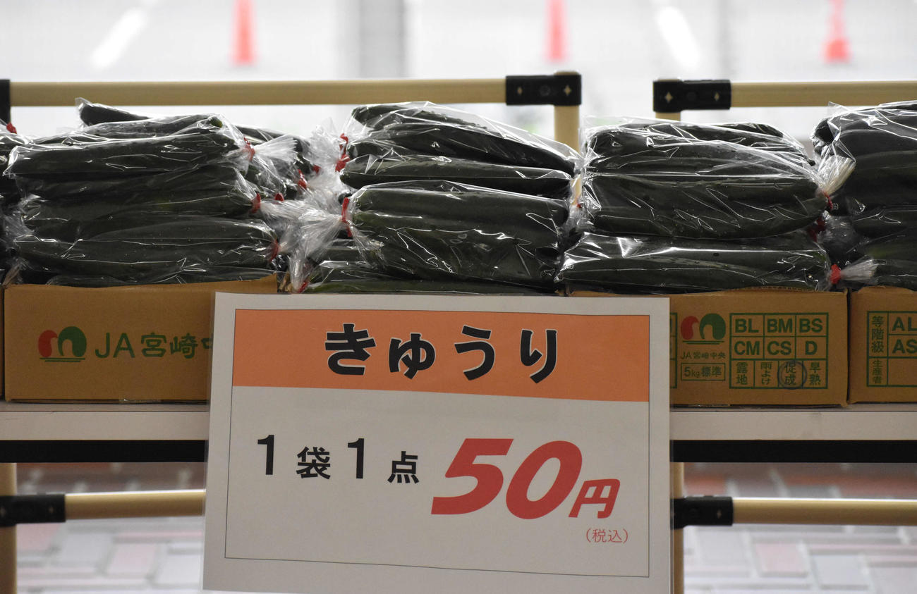 野菜即売会に並ぶきゅうり（撮影・平田英治）