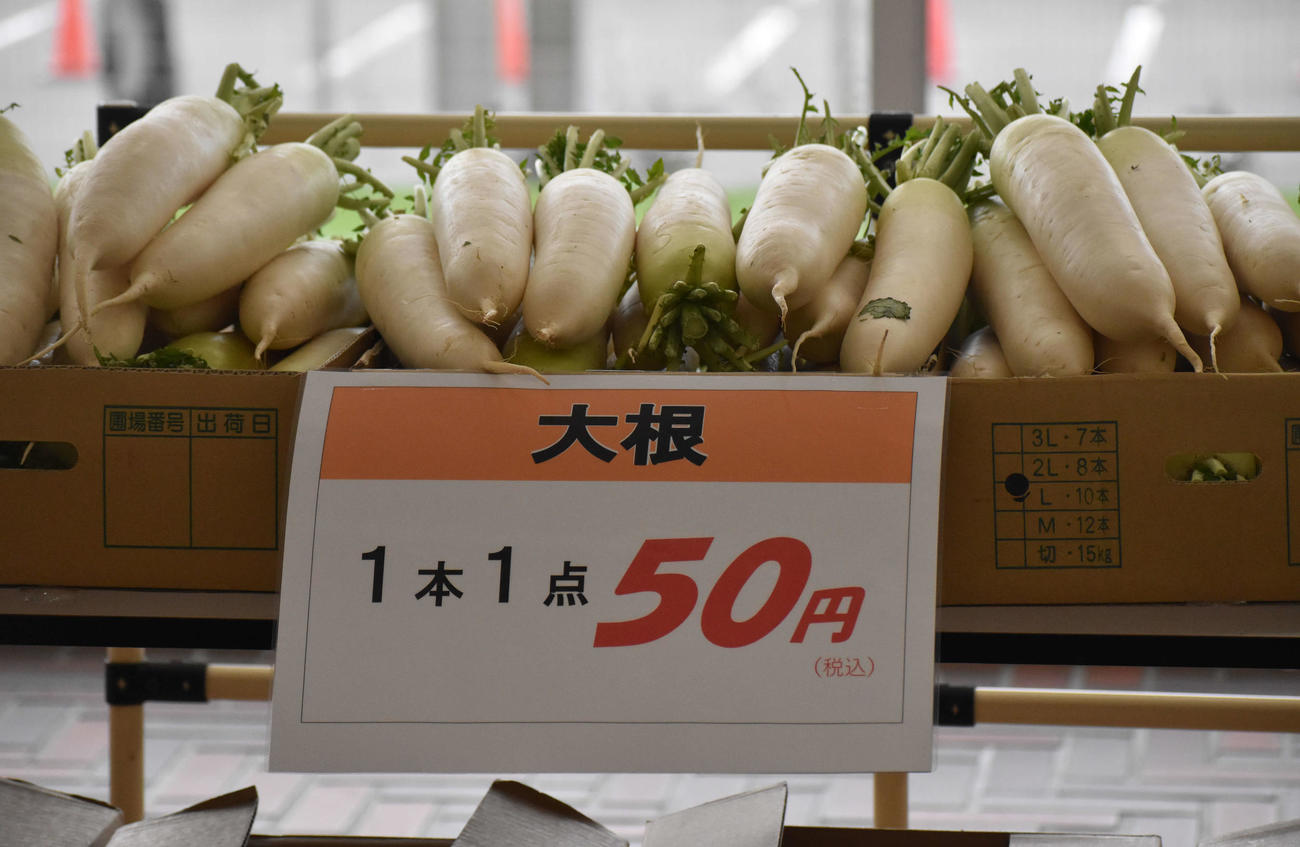 野菜即売会に並ぶ大根（撮影・平田英治）